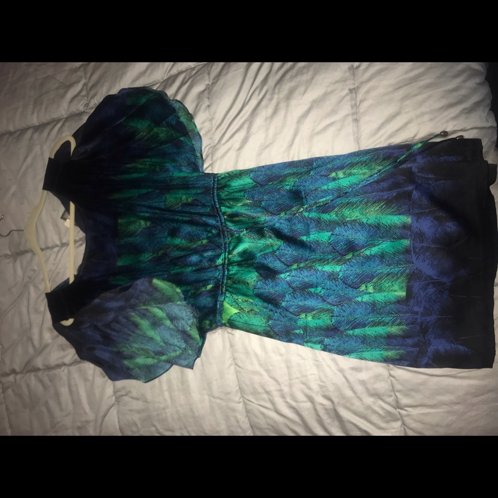 Peacock Silky Dress